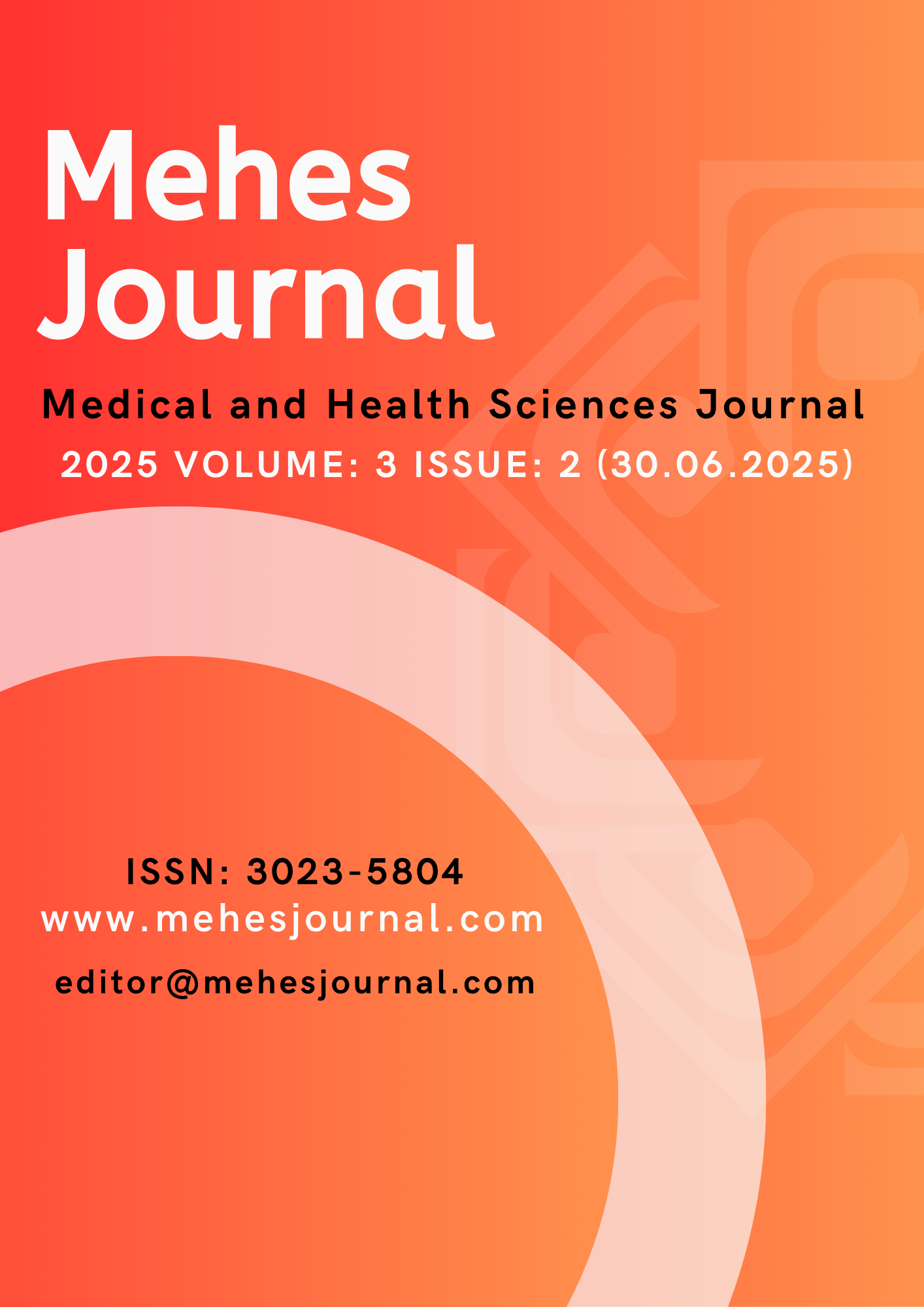 					View Vol. 3 No. 2 (2025): Volume 3 Issue 2 (2025): Mehes Journal
				